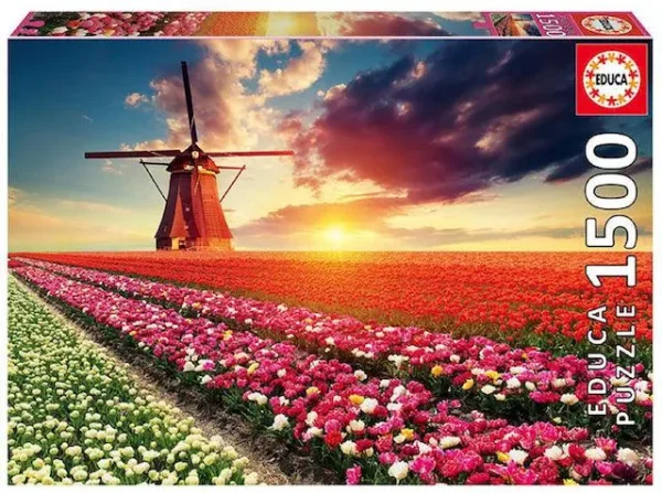 Tulip Fields - 1500 pcs