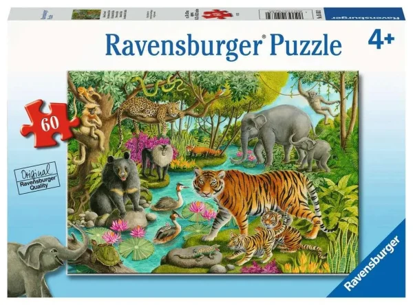 Animals of India - 60 pcs