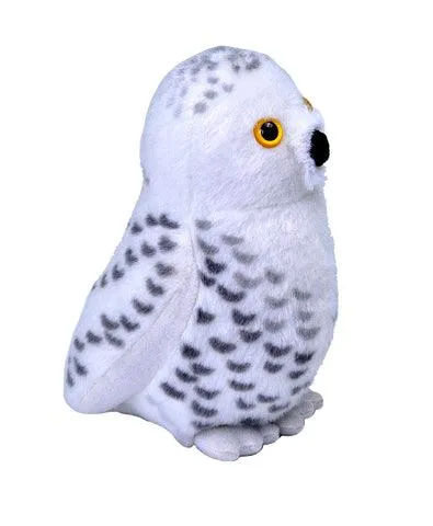 Snowy Owl (with sound)
