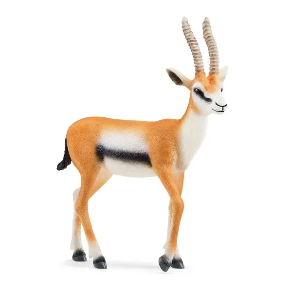 Thomson's Gazelle