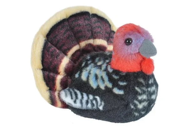 Audubon Birds Wild Turkey
