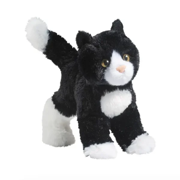 Snippy Black & White Cat