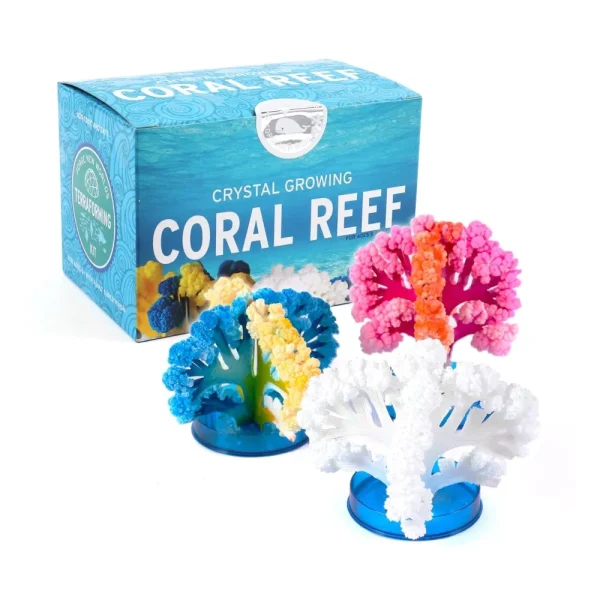 Crystal Growing Coral Reef