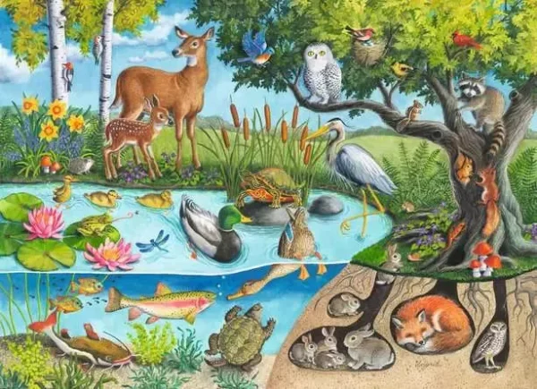 Animals Above and Below - 60 pcs