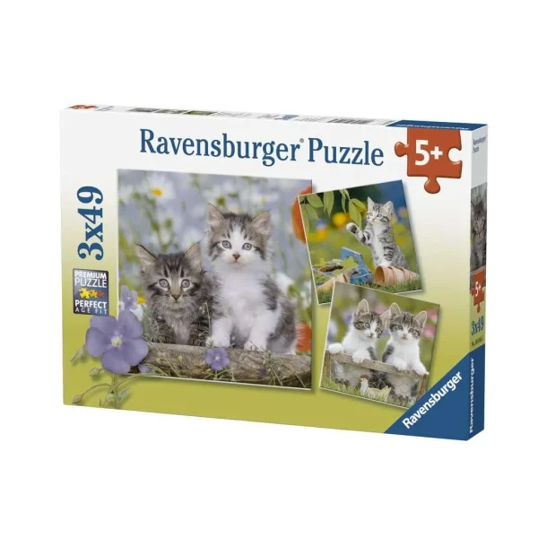 Tabby kittens - 3 x 49 pcs