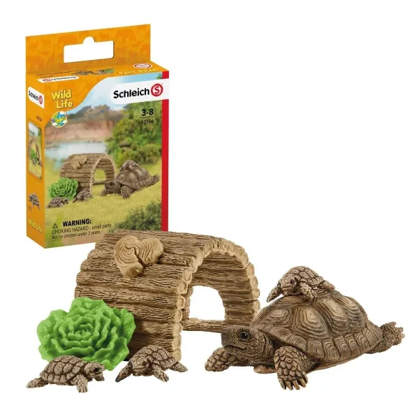 Tortoise home - Wild Life