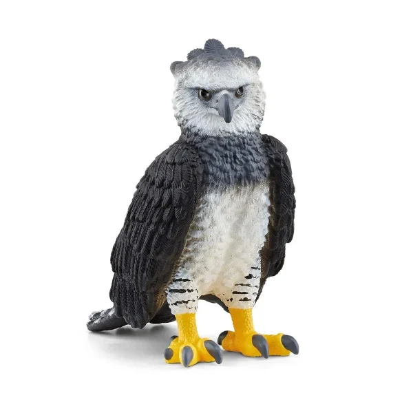 Fierce Harpy