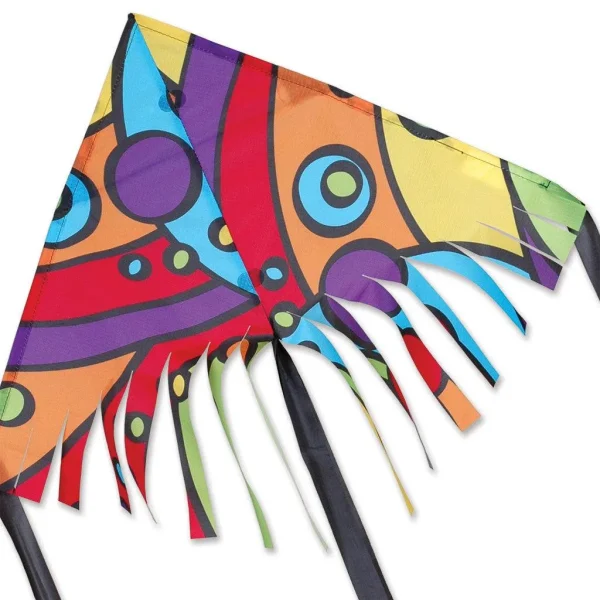 24 Kite - Fringe Delta Kite - Rainbow Orbit