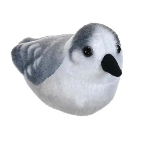 Audubon Birds Canada Jay