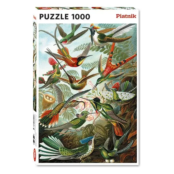 Hummingbirds - Haeckel - 1000 pcs