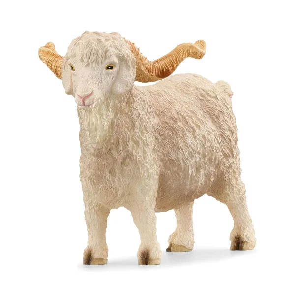 Angora goat