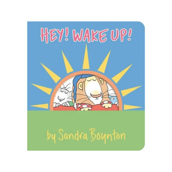 Hey! Wake Up!