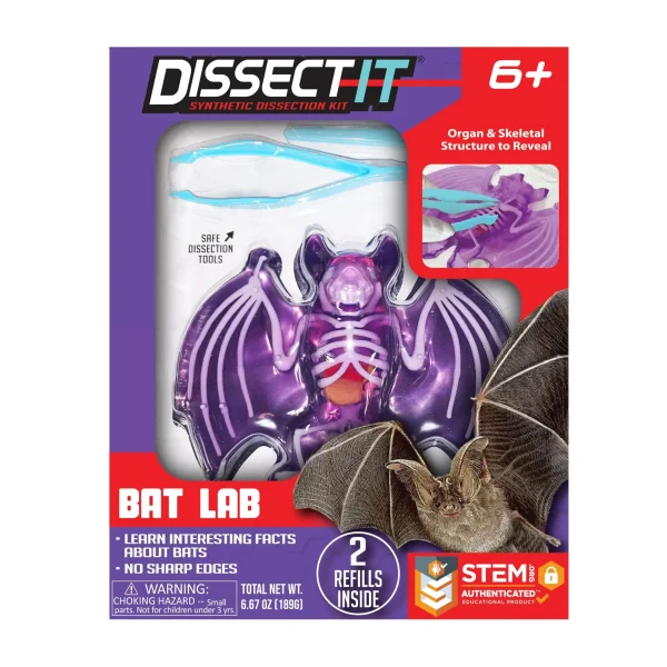 Dissect It: Bat