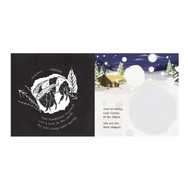 Shine a Light - Secrets of Winter
