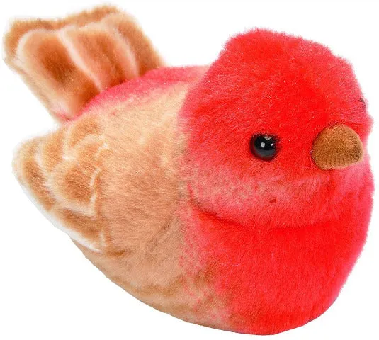 Audubon Birds House Finch