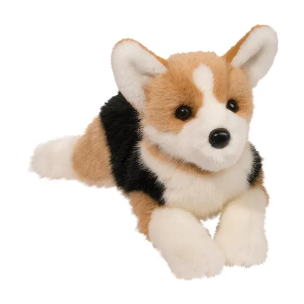 Corgi dog - Konner