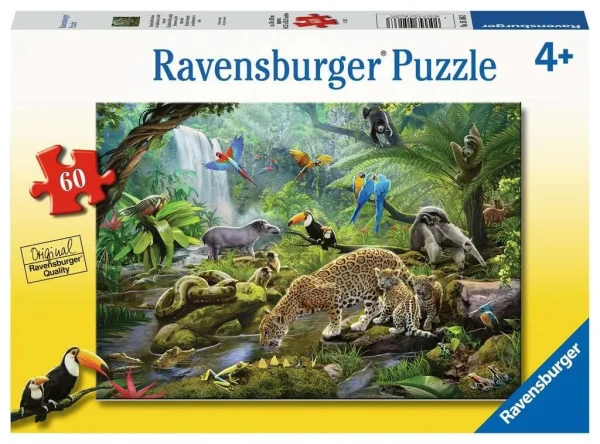 Rainforest Dwellers - 60 pcs