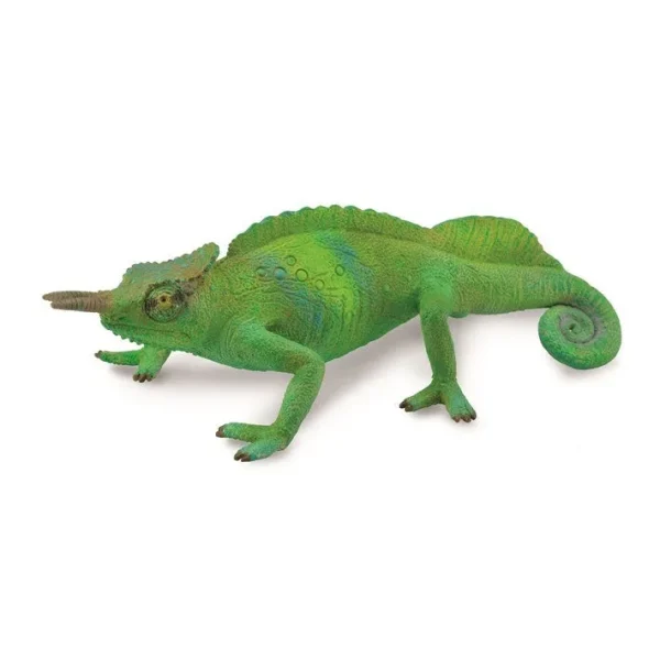 Cameroon Sailfin Chameleon